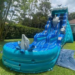 20ft Dolphin Wave Waterslide