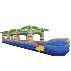 Tropical Dual lane Slip N slide