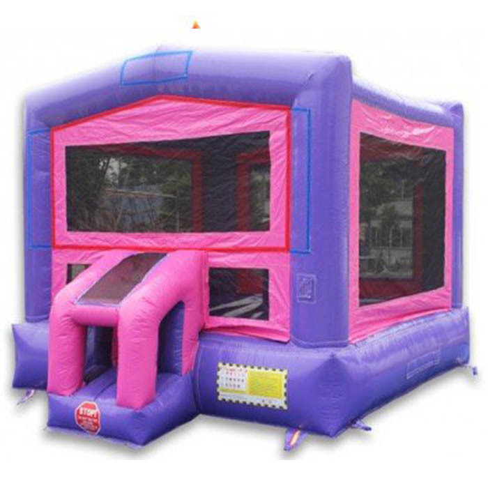 Purple Pink Module bouncer
