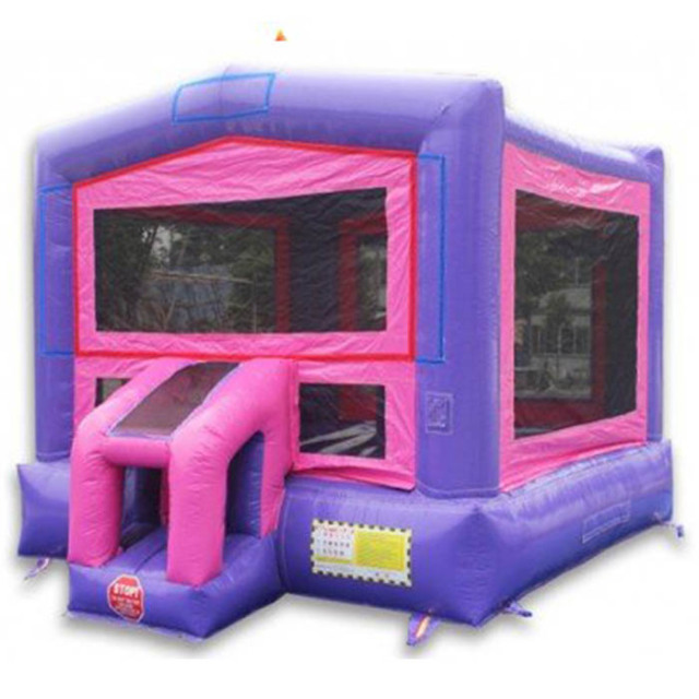 Purple Pink Module bouncer