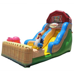 Farm Themed Slide