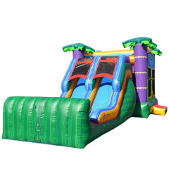 Tropical Banner Dual Lane Slide Combo