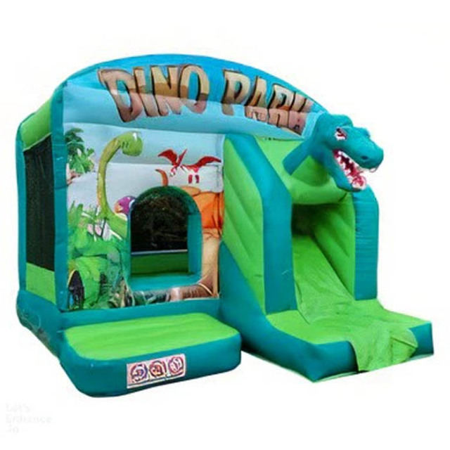 Dino Park Bouncy Slide