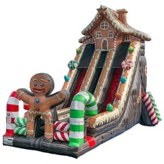 Gingerbread Candy House Slide