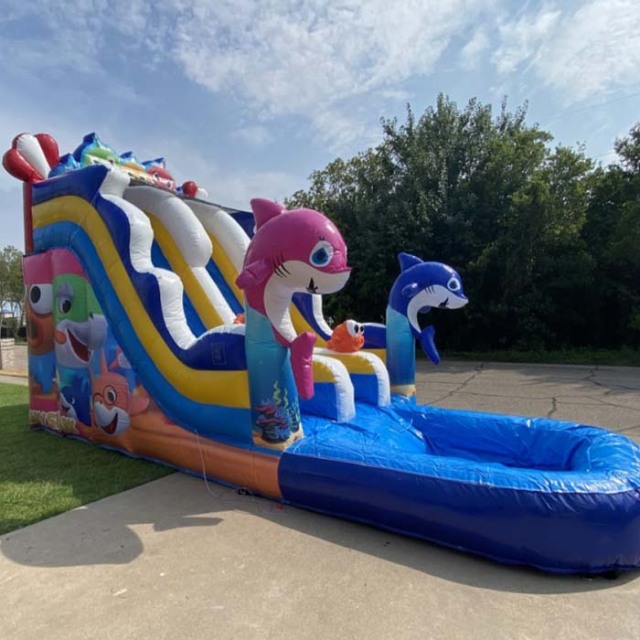 dual lane baby shark slide