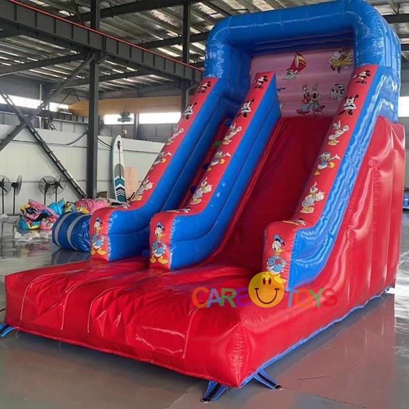 Mini Mickey Donald Duck Slide