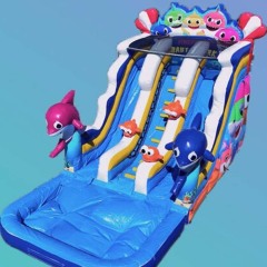 dual lane baby shark slide