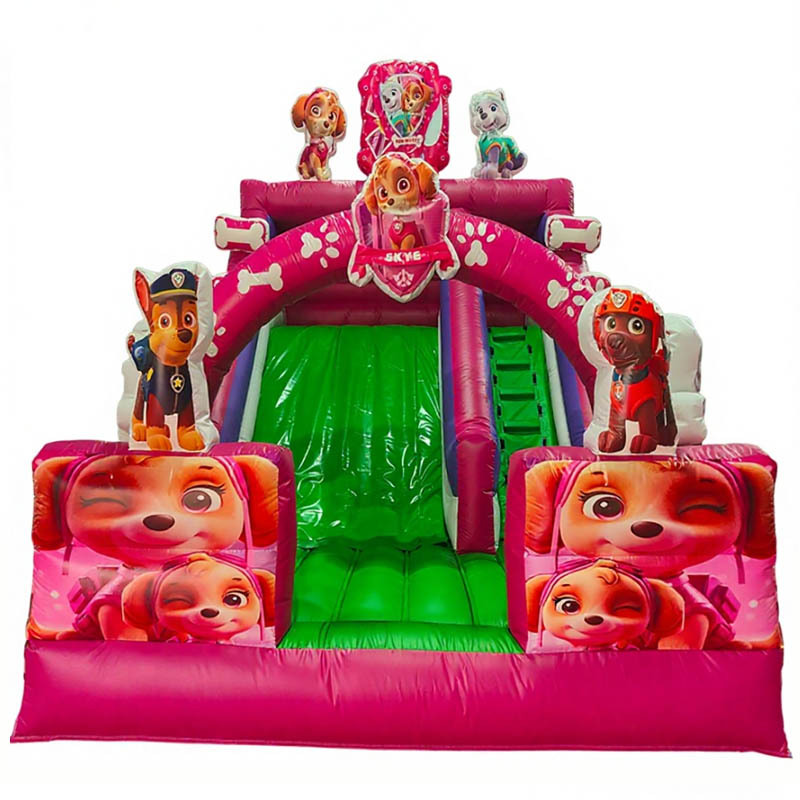 Pink Paw Patrol Skye Themed Slide