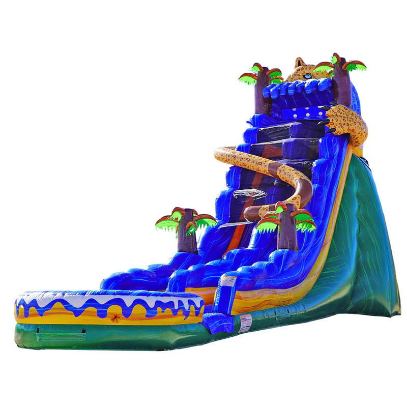 19ft Wild Cat Slide