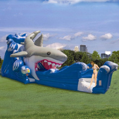 Gone Fish N Shark Waterslide
