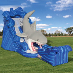 Gone Fish’n Shark Wet/Dry Slide