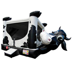 Dairy Cow Bouncer
