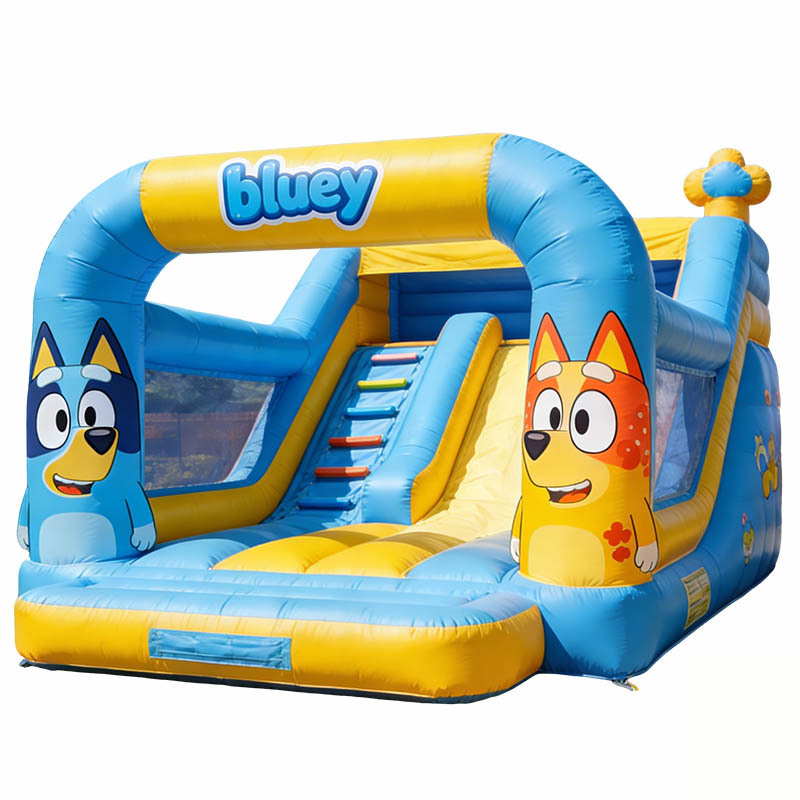 Bluey Theme Inflatable Slide