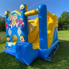 Mini Baby Shark Inflatable Moonwalk Combo