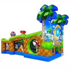 Sonic Themed Obstacle Course