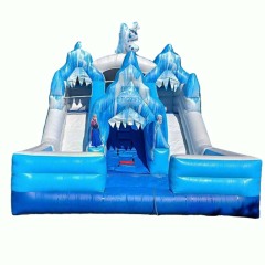 Dual Lane Frozen Waterslide