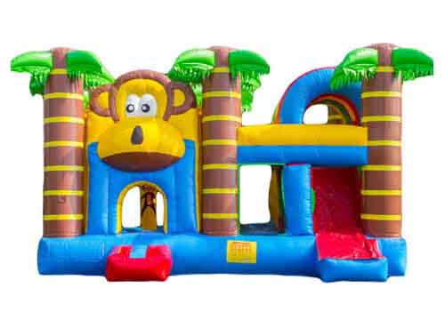 Monkey