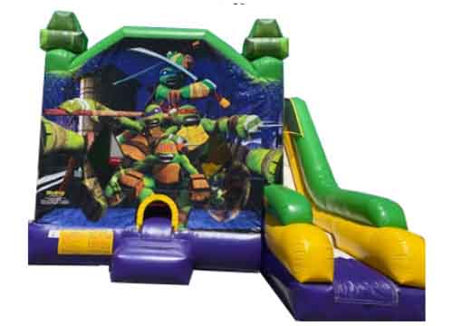 Ninja Turtles