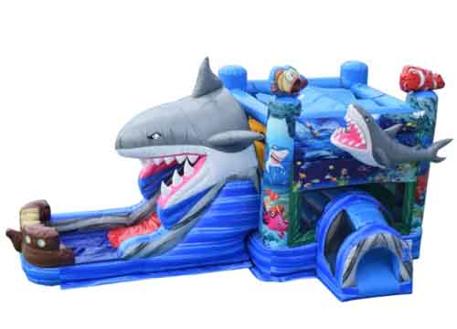 Shark