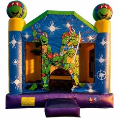 Ninja Turtles Bouncer