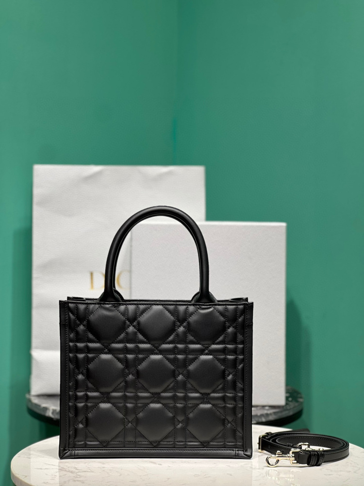 Dior tote small