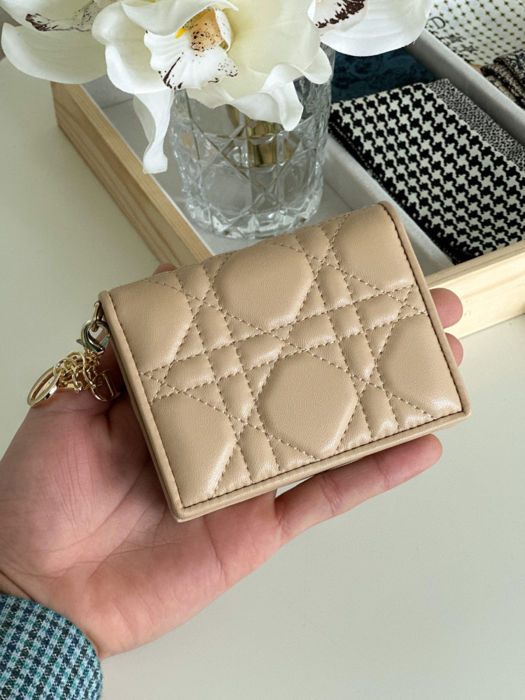 Dior card holder