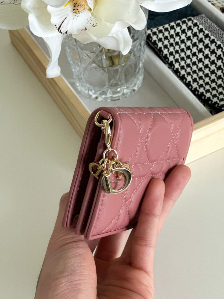 Dior card holder