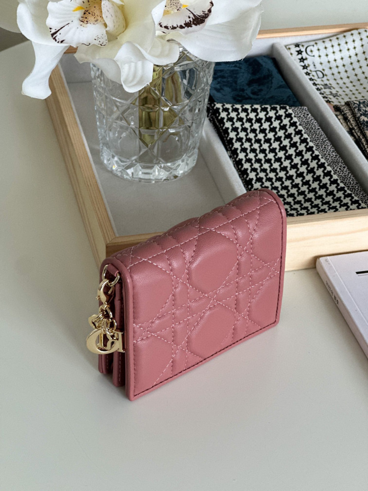 Dior card holder