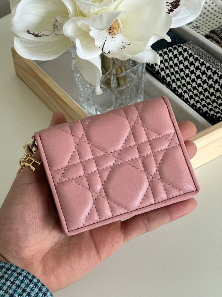 Dior card holder