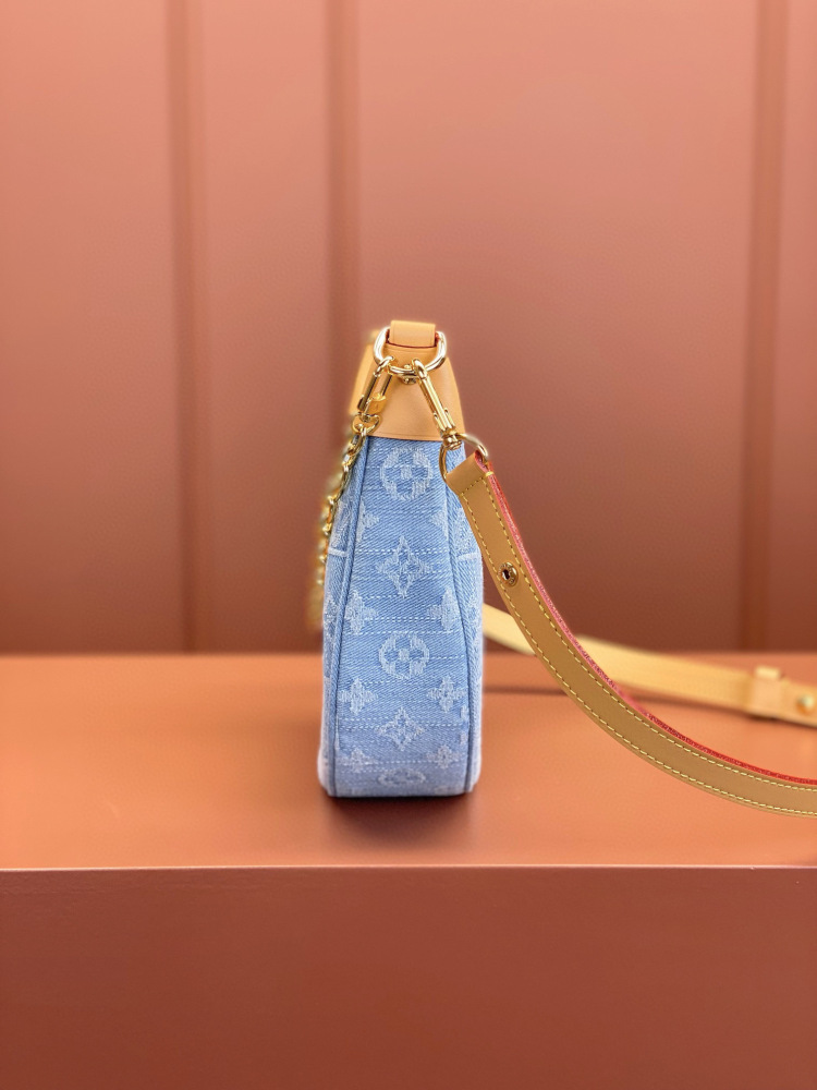 (MB) LV loop bag
