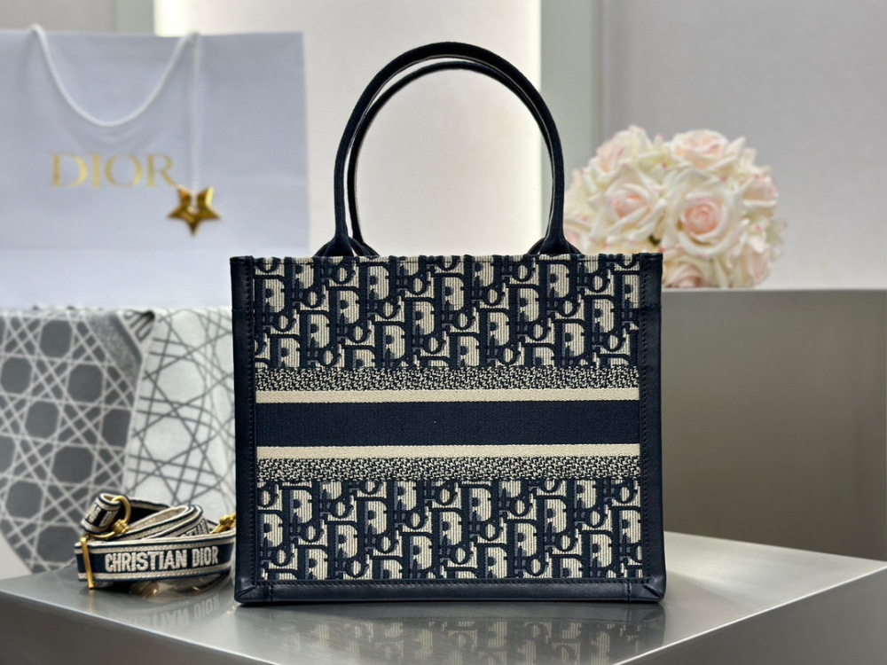 Dior book tote small