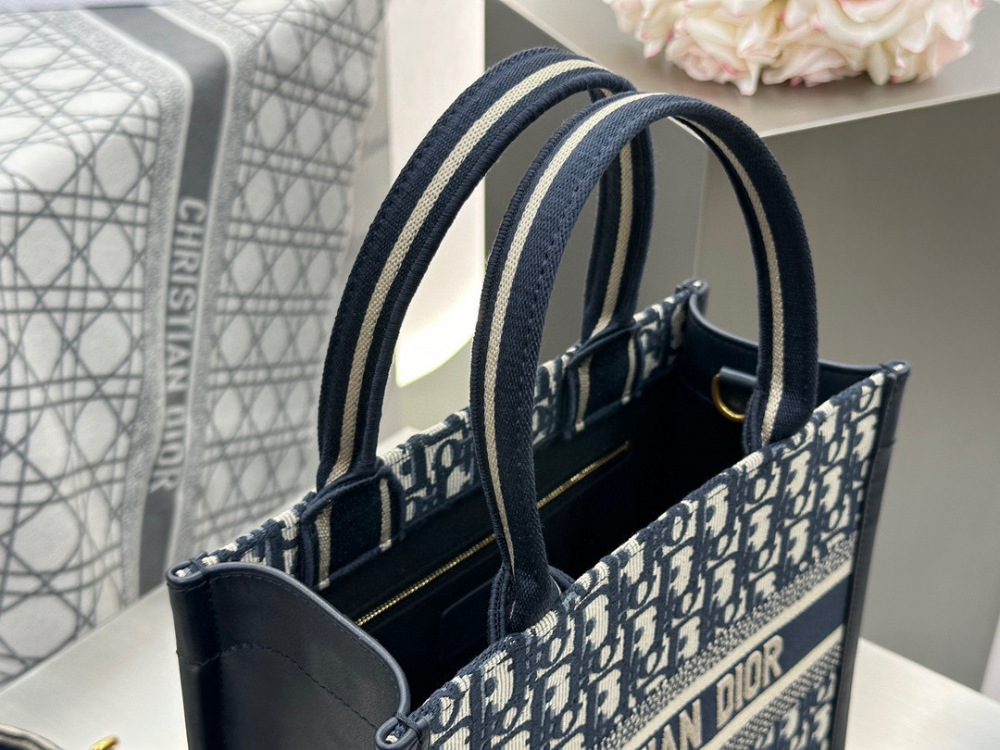 Dior book tote small