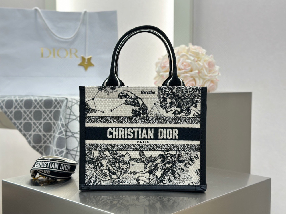 Dior book tote small