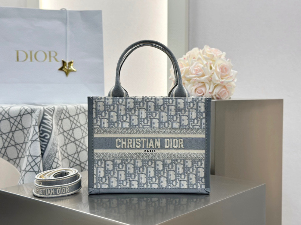 Dior book tote small