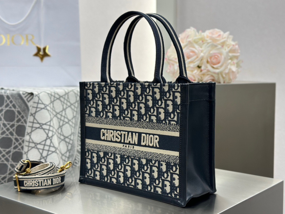 Dior book tote small