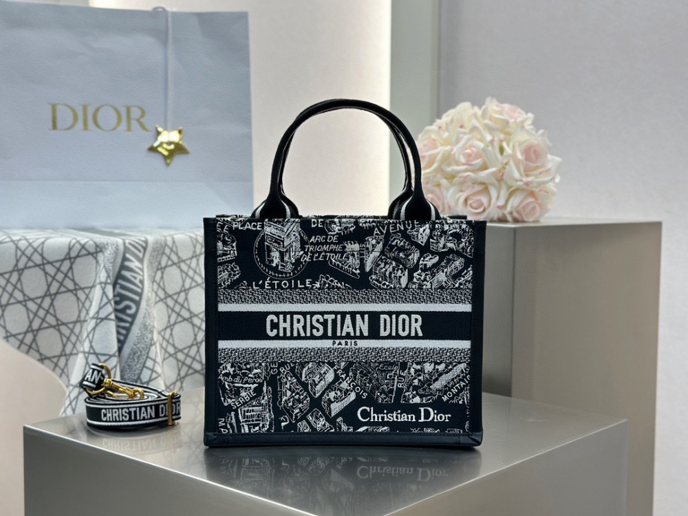 Dior book tote small