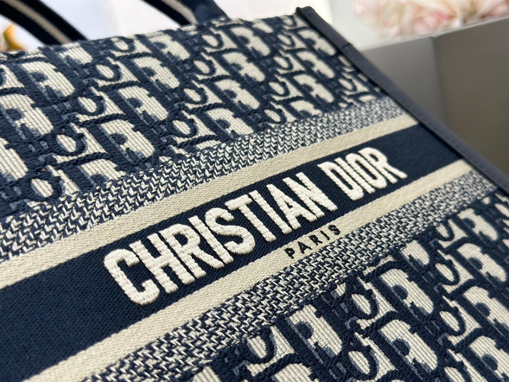 Dior book tote small
