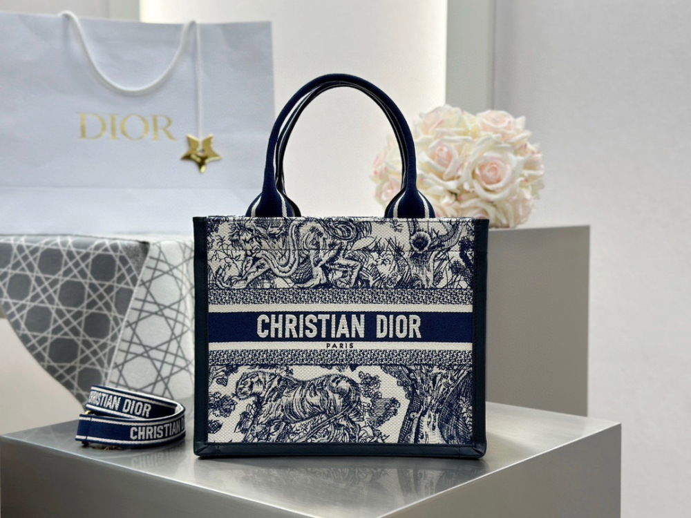 Dior book tote small