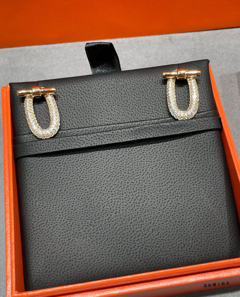 Hermes earring