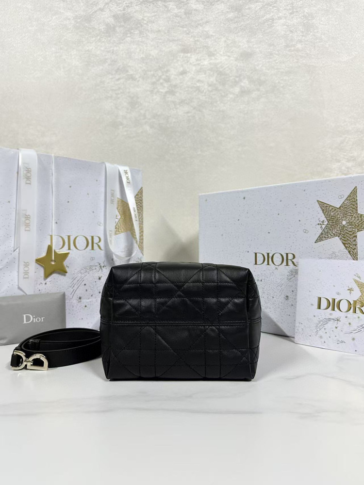Dior Toujours small