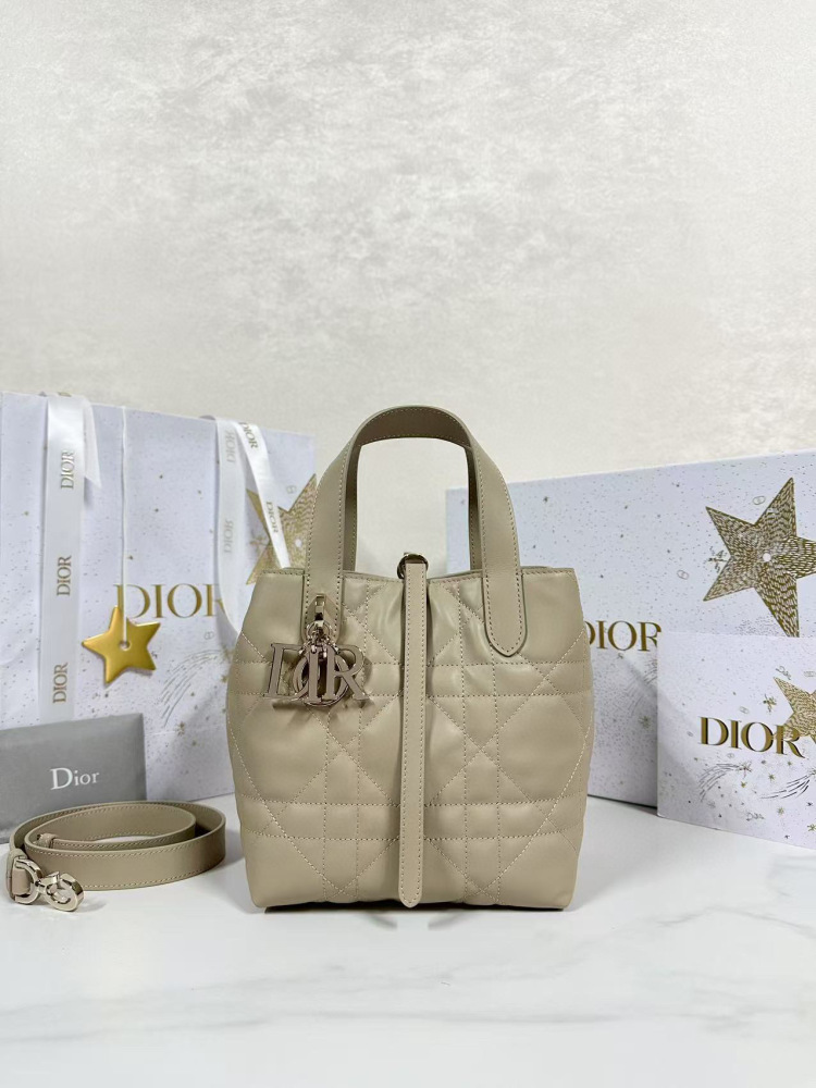 Dior Toujours small