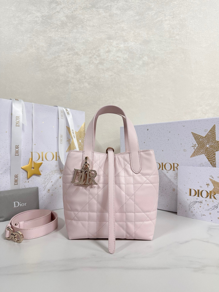 Dior Toujours small