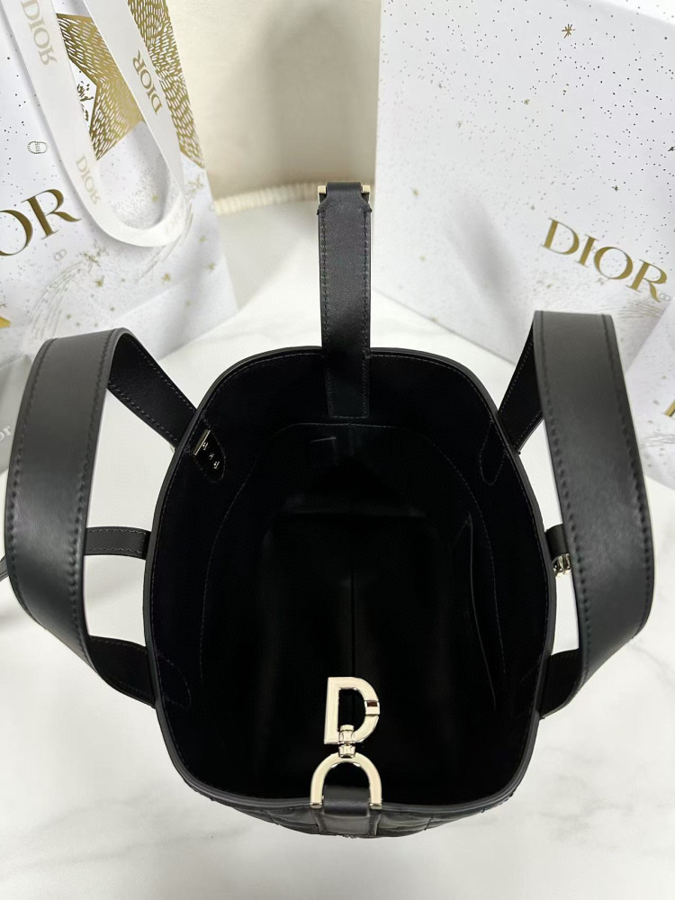 Dior Toujours small