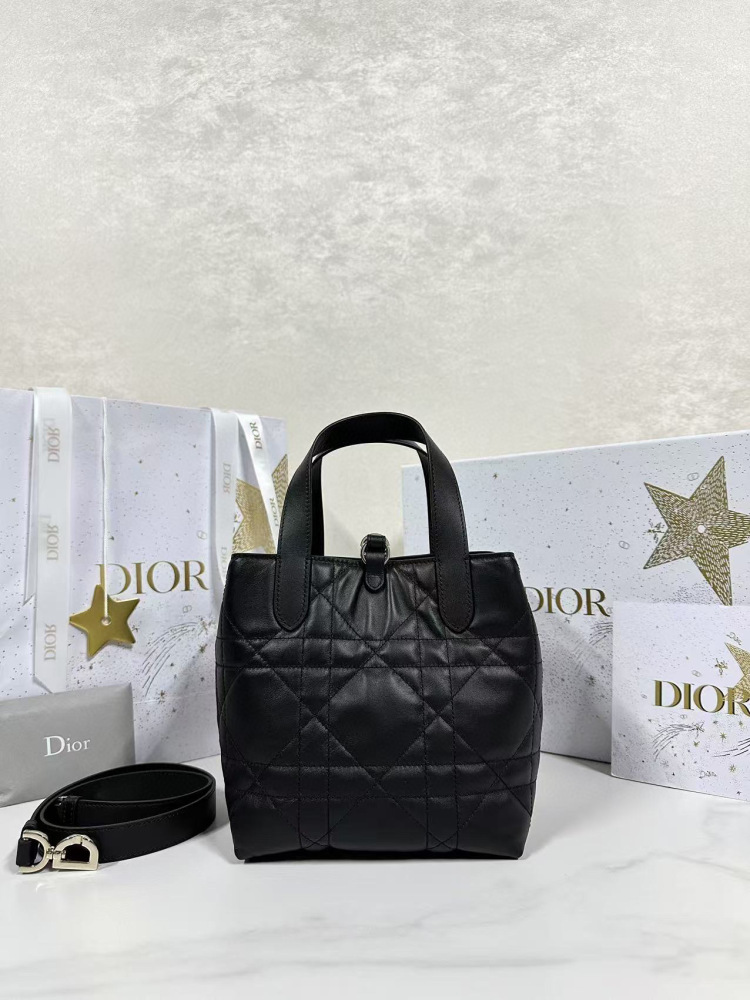 Dior Toujours small