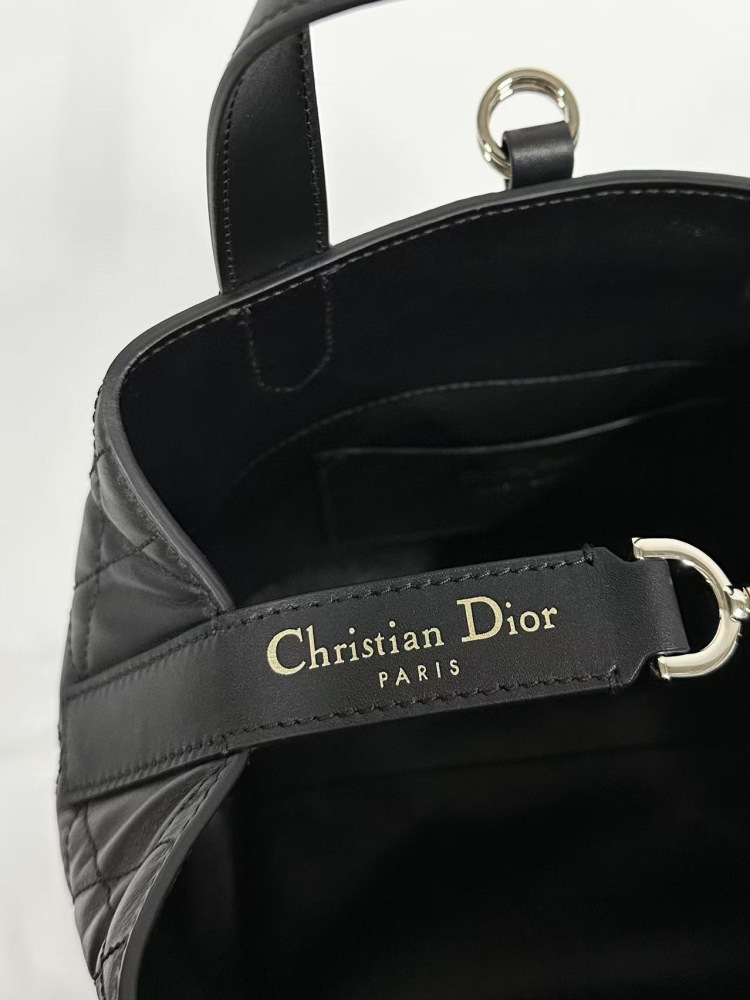 Dior Toujours small
