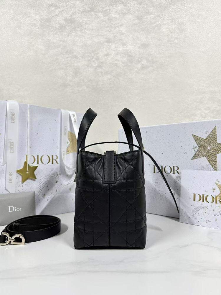 Dior Toujours small