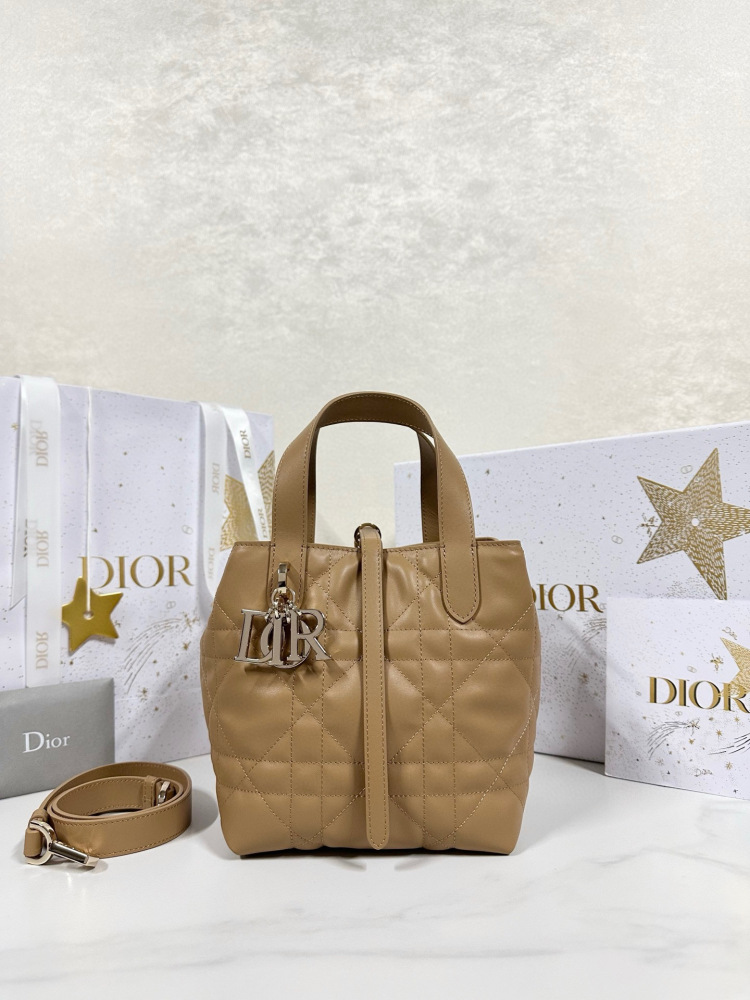 Dior Toujours small