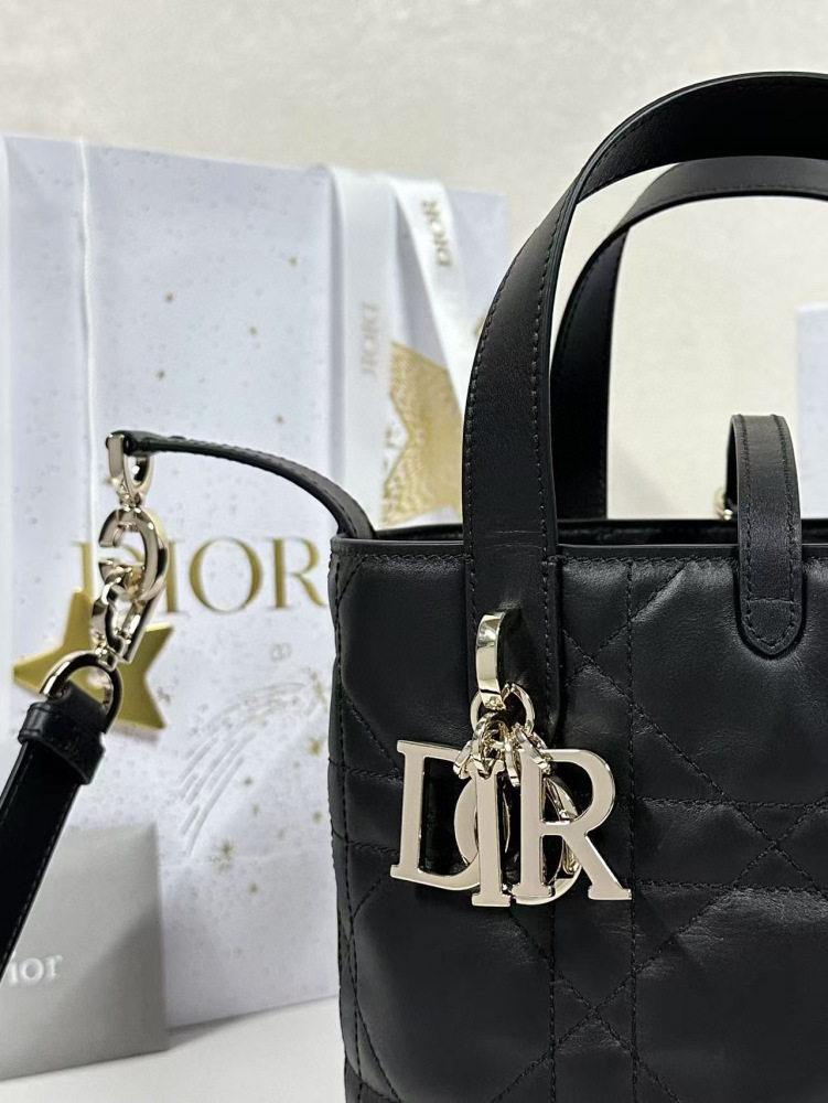 Dior Toujours small