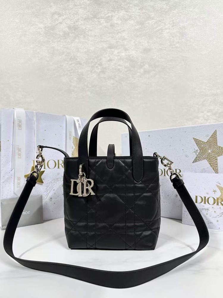 Dior Toujours small