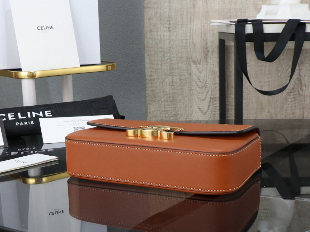 Celine Triomphe hobo